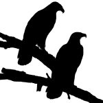 150x150 Bird Of Prey Silhouettes ~ Karen's Whimsy