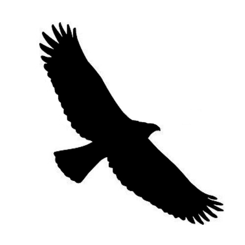 Bird Of Prey Silhouette at GetDrawings | Free download