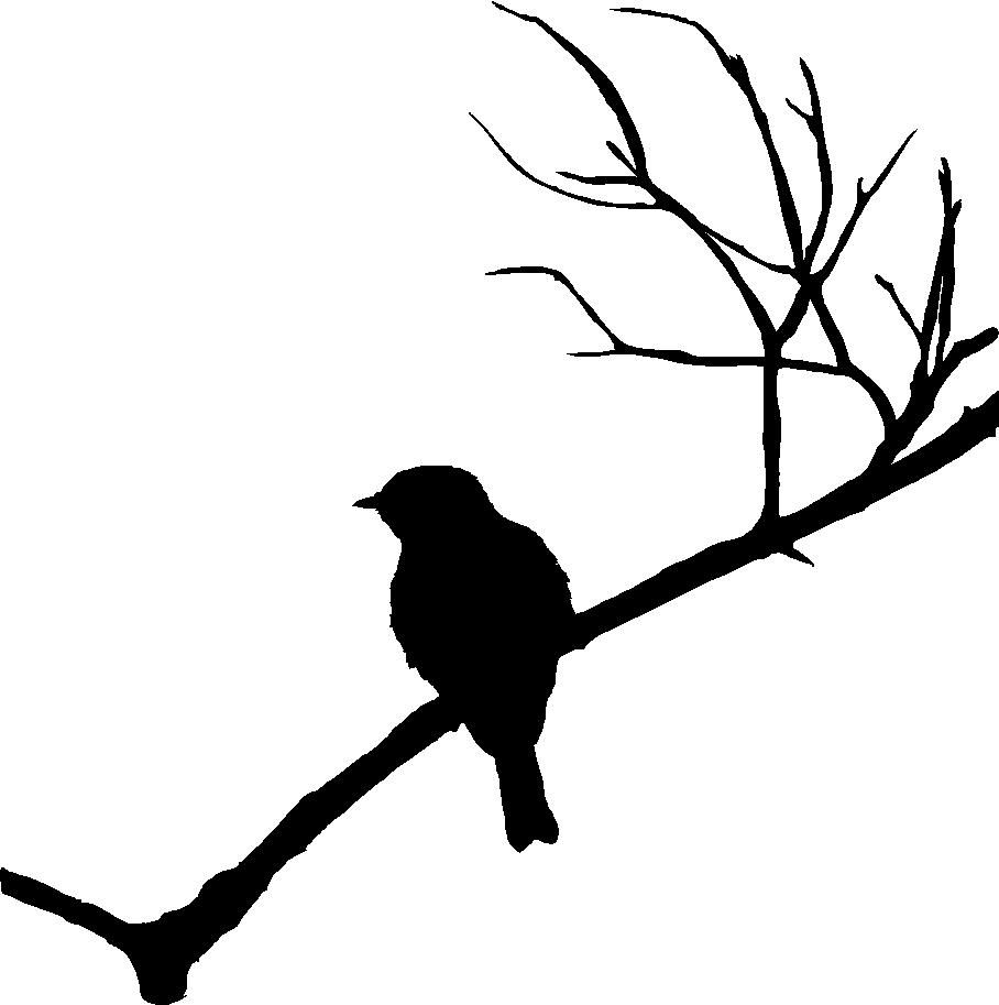 908x913 Image Result For Birds On A Branch Silhouette Wood Crafts