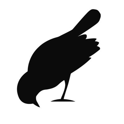 400x400 Bird On The Wire (@botwevents) Twitter