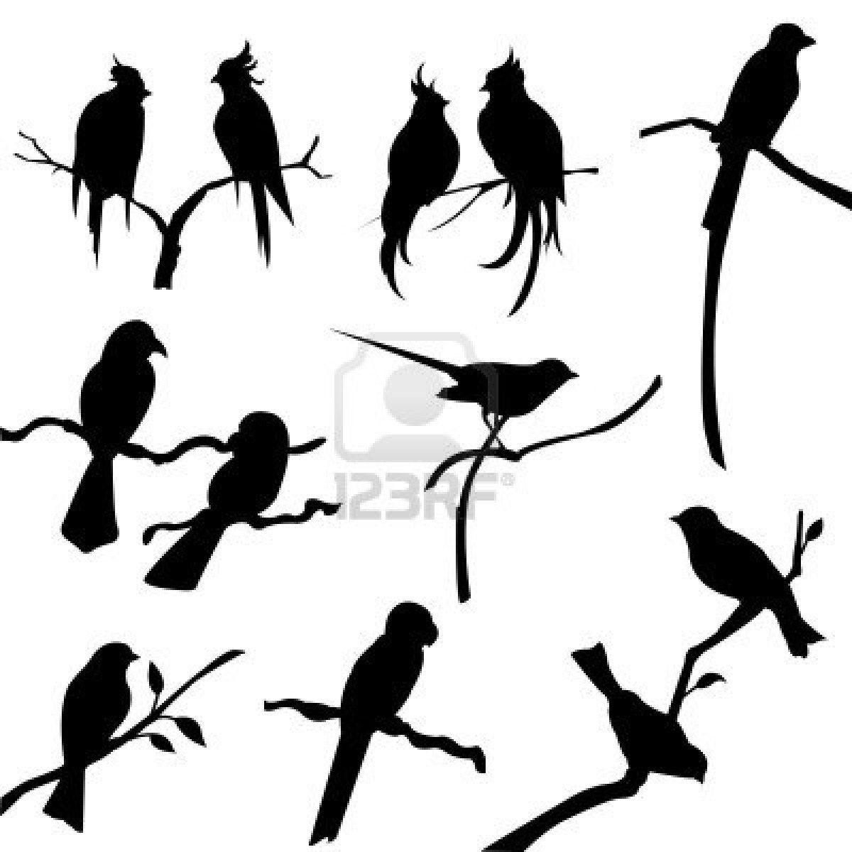1200x1200 Bird Silhouettes Stock Photo Scroll Saw Patterns