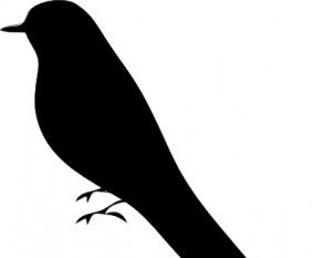 282x233 Free Vector Tree With Birds Free Vectors Ui Download