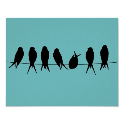 400x400 Birds On A Wire Dare To Be Different Poster