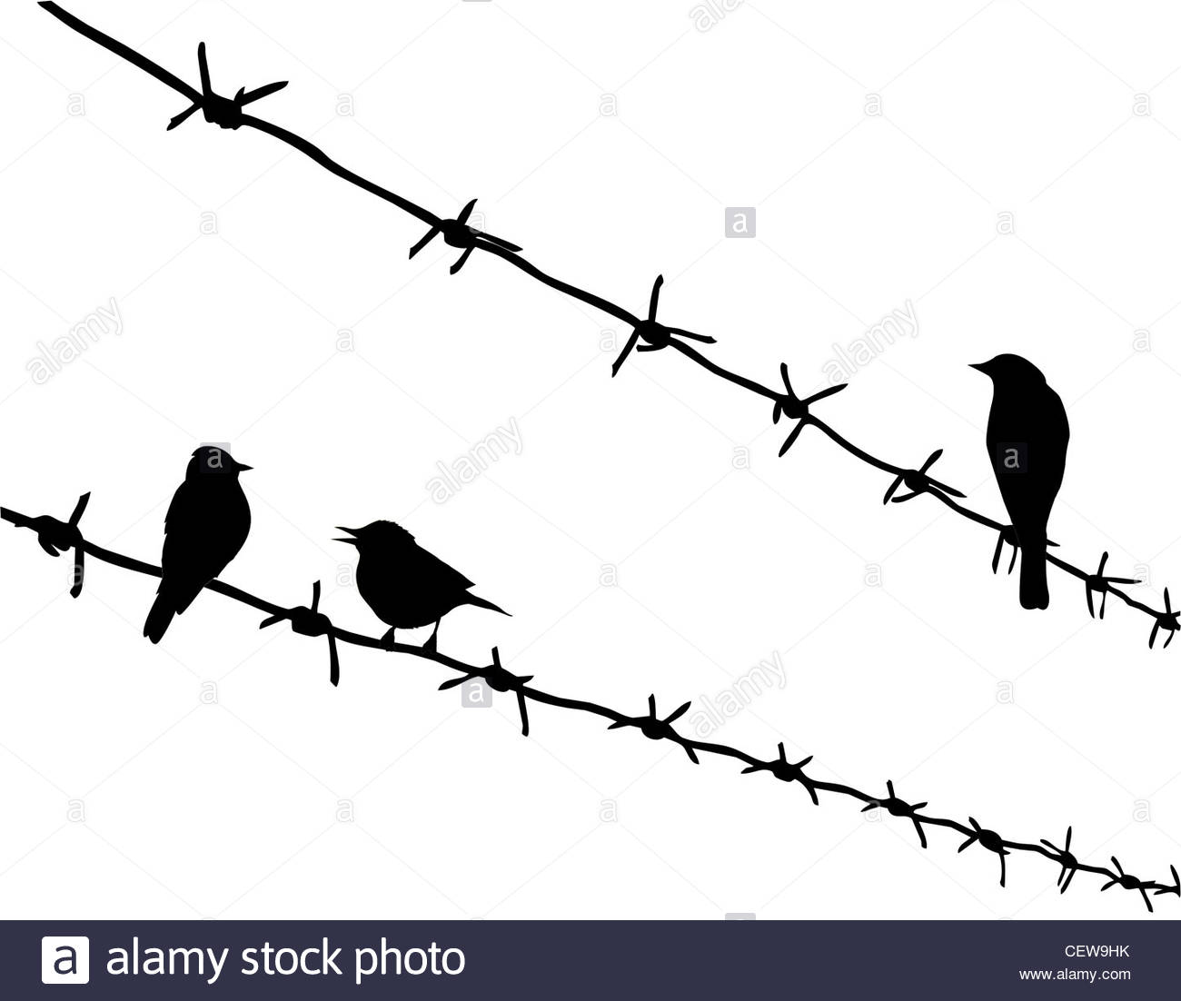 1300x1102 Vector Silhouette Three Birds On Barbed Wire Stock Photo 43582271