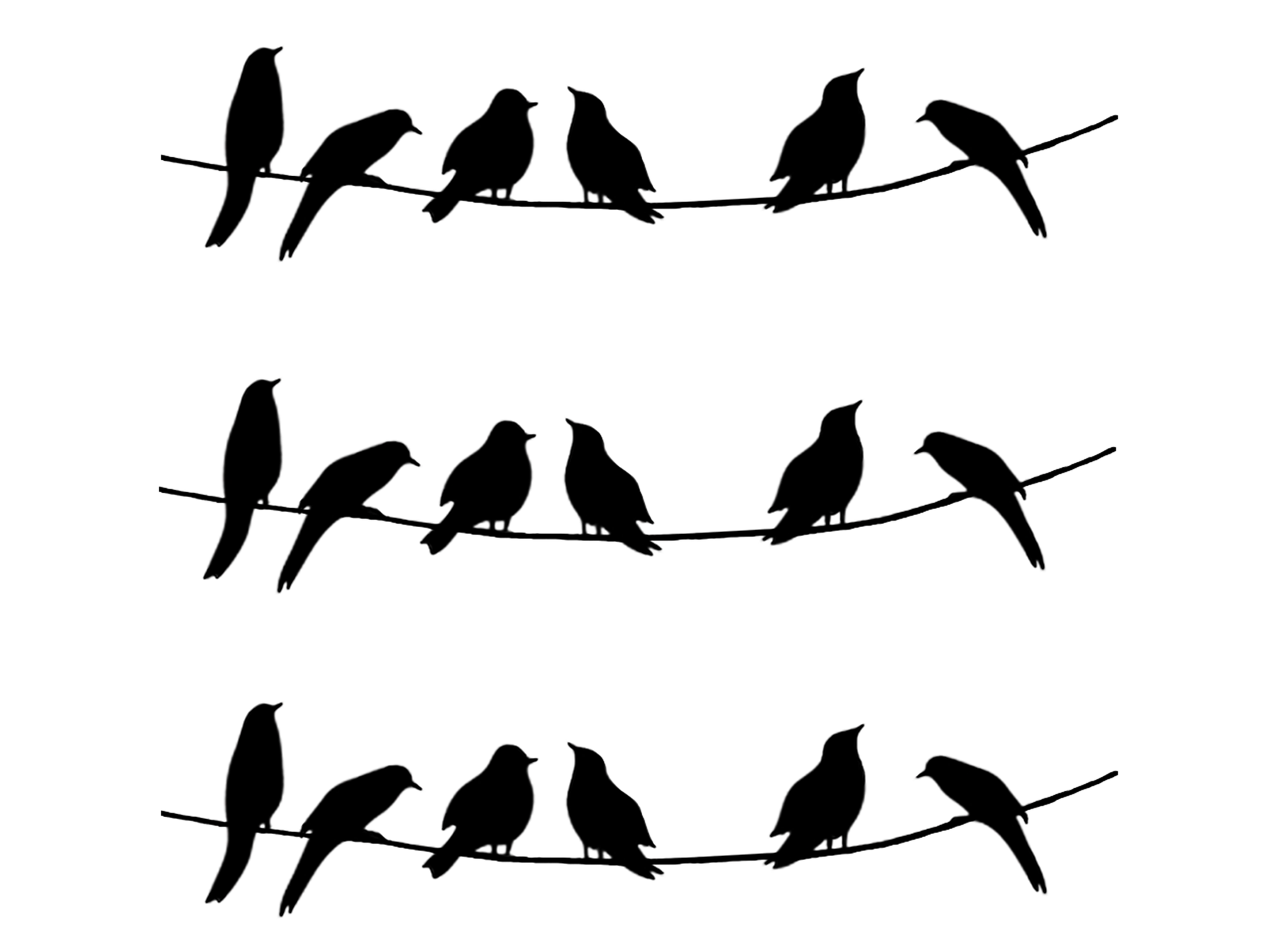 Bird On A Wire Silhouette Printable - Printable Word Searches