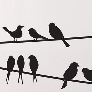300x300 Bird On A Wire Wall Stickers Decals