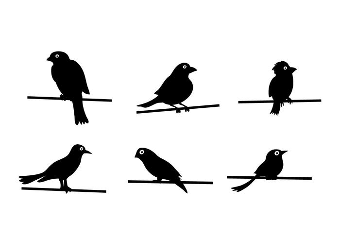 700x490 Bird On Wire Vector