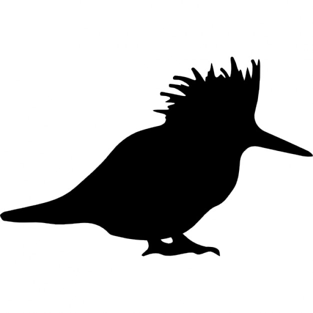626x626 Bird Silhouette Icons Free Download