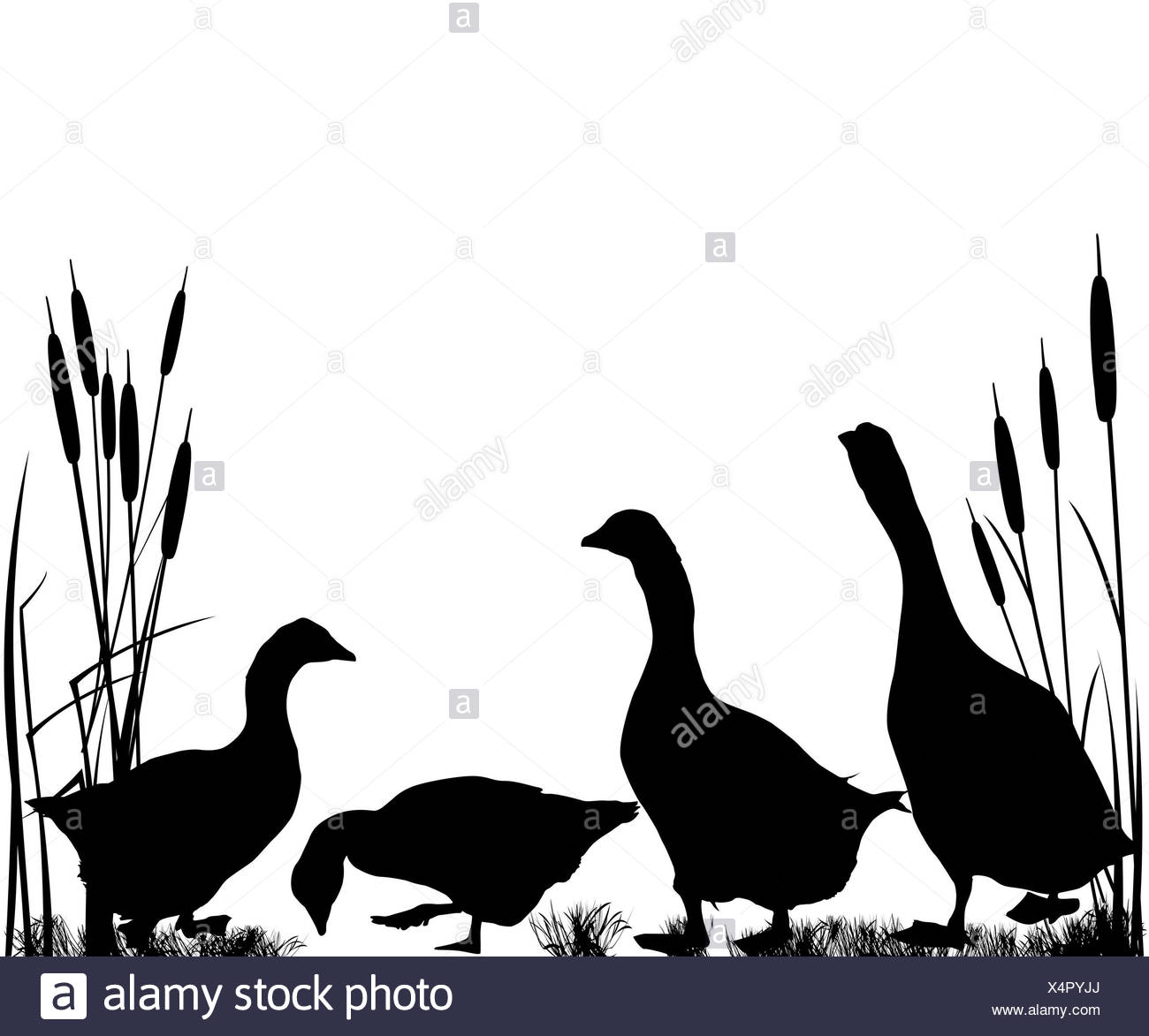 1300x1173 Black Silhouette Cartoon Side Profile Stock Photos Amp Black