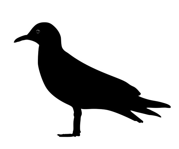 600x500 Free Stock Photos