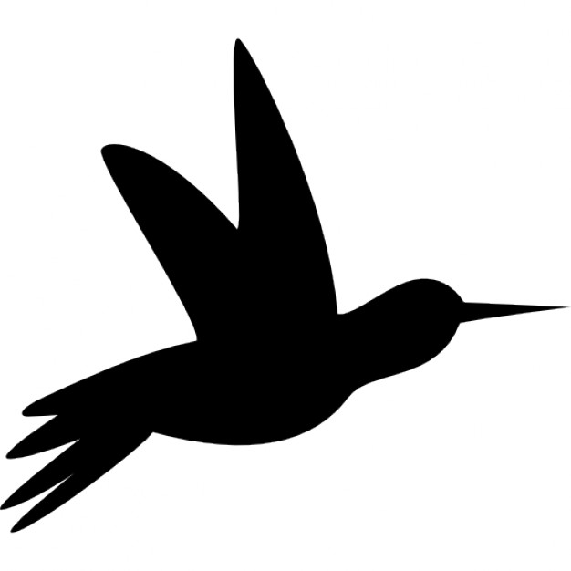 626x626 Humming Bird Black Side Silhouette Icons Free Download