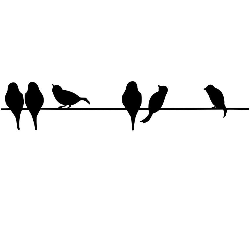 864x864 Bird On A Wire Silhouette Birds Bird, Silhouette