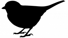 230x130 Bird Clipart Stylish Ideas