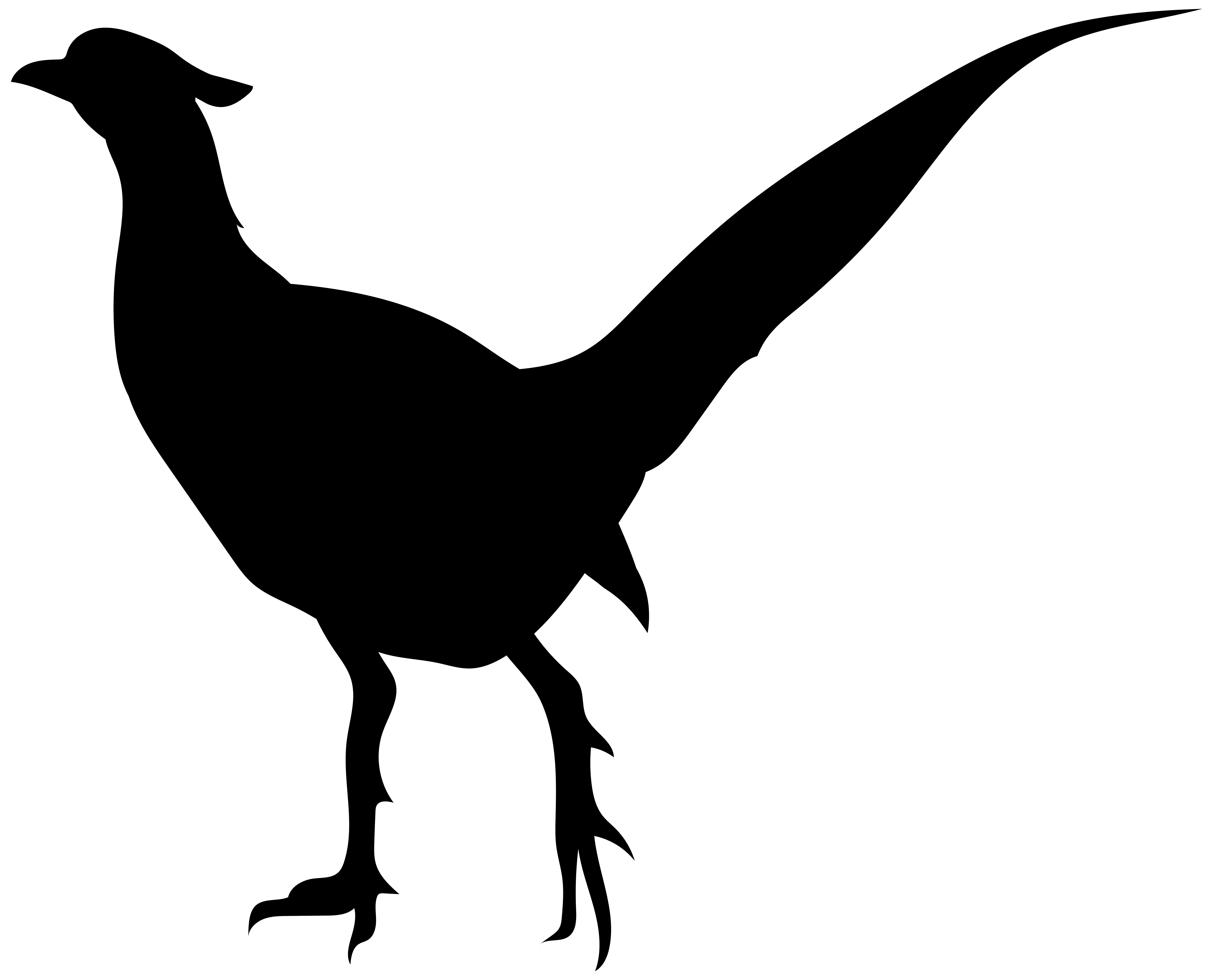 8000x6462 Bird Silhouette Png Transparent Clip Art Imageu200b Gallery