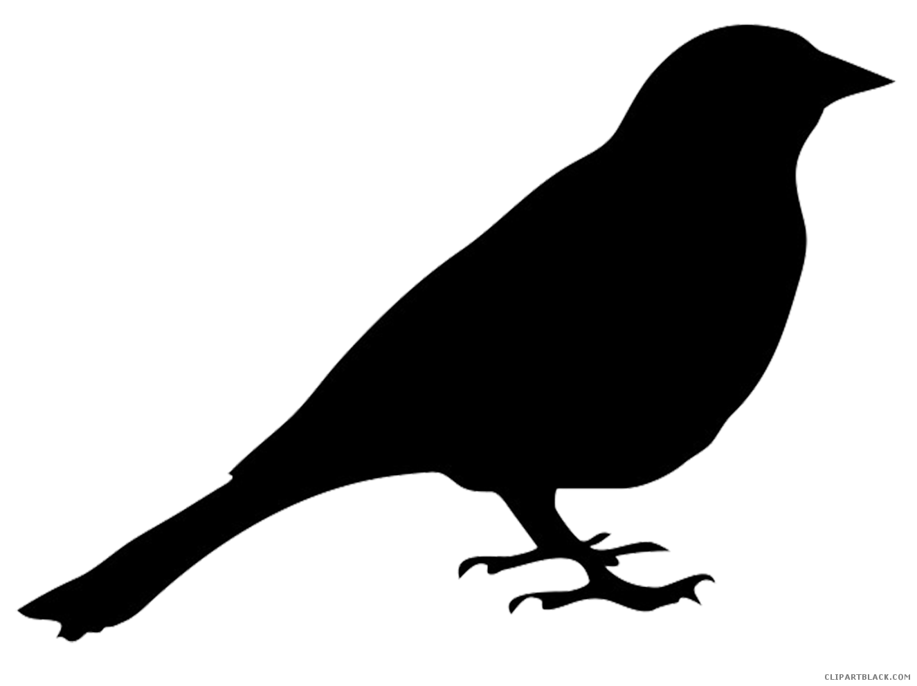 1325x992 Bird Silhouette Clipart