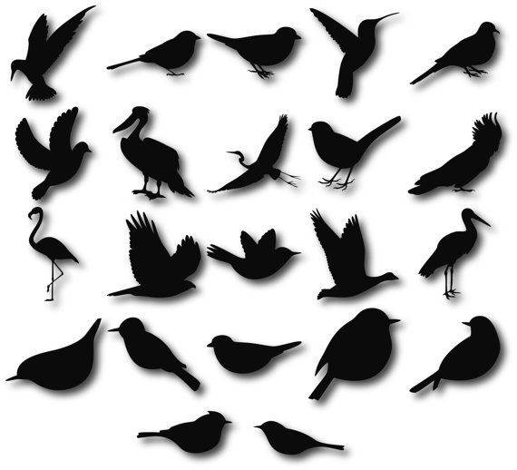570x518 Birds Silhouettes, Birds Clipart, Birds Svg, Bird Silhouette Clip