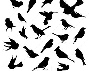 340x270 Birds Silhouette Etsy