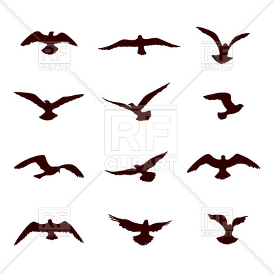 400x400 Bird Flying Silhouette Set Royalty Free Vector Clip Art Image