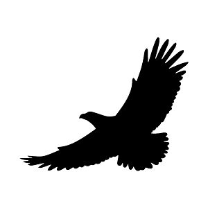 300x300 Custom Window Decals For Cars, Star Wars Family Car Decals