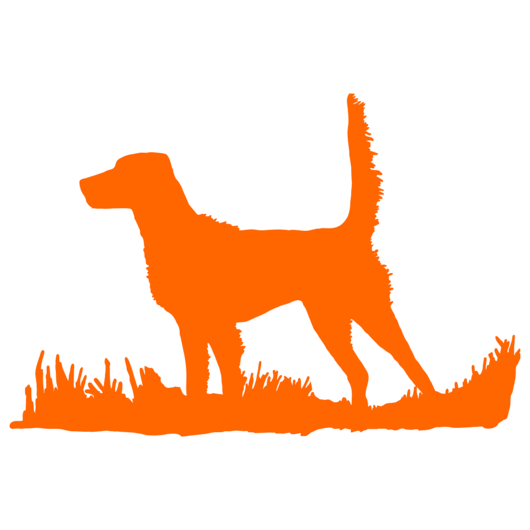 530x530 English Setter (High Tail) Bird Dog Silhouette, Upland Hunting