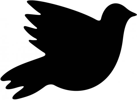 475x347 Silhouette Dove