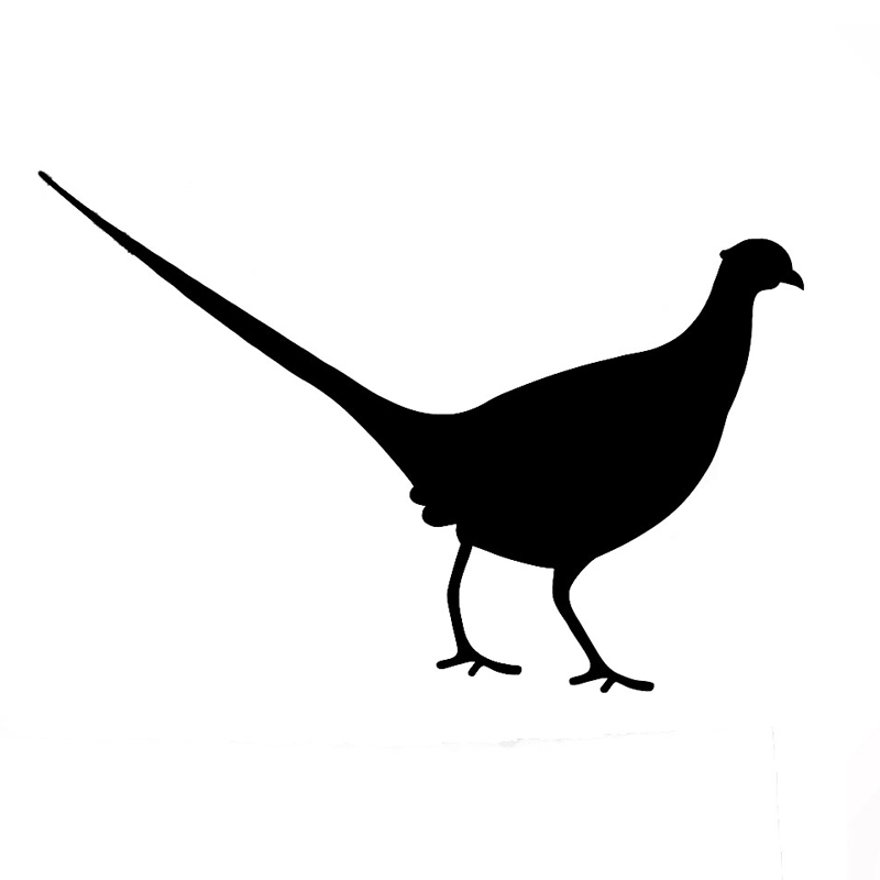 800x800 Buy Stickers Car Pigeon And Get Free Shipping