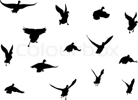 480x348 Black Attractive Silhouette Of Flying Birds Tattoo Inspiration
