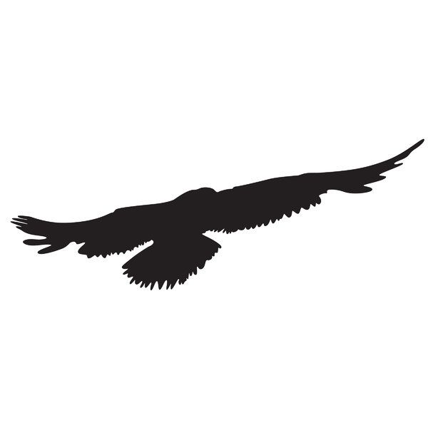 600x600 Gallery For Gt Black Bird Silhouette Flying Tattoo Ideas