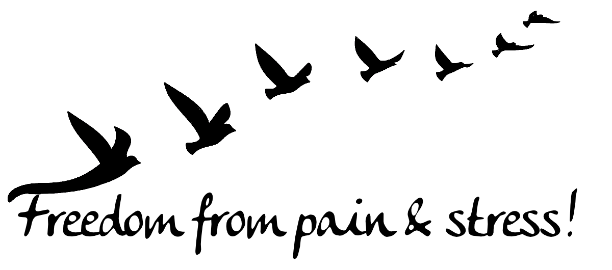 1200x530 Freedom Silhouette Flying Animated Birds Vintage Illustration