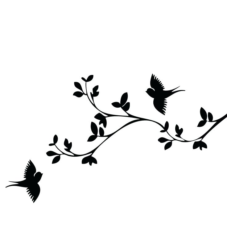 736x736 Bird Outline Stock Images Royalty Free Images Vectors Black