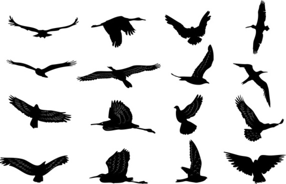 571x368 Bird Silhouette Free Vector Download (7,613 Free Vector)