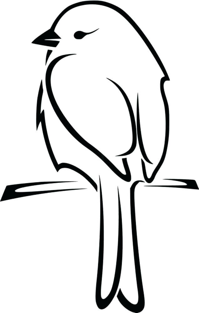 Bird Silhouette Outline At Getdrawings 