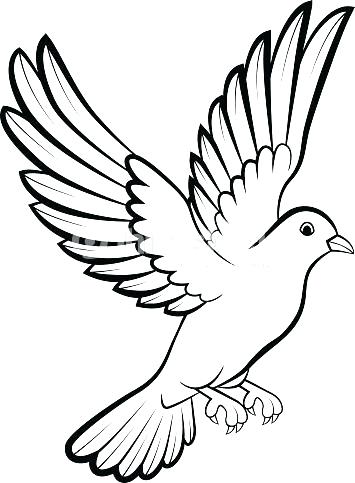 355x483 Bird Silhouette Free Vector Download Free Vector For Bird