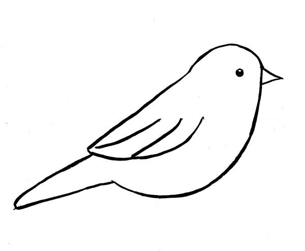 600x494 Image Result For Simple Bird Outline Drawing Bird