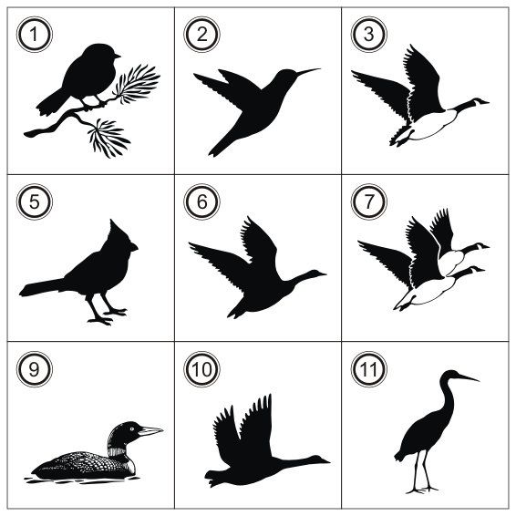 566x566 9 Birds Silhoettes Printable Clipart Svg Cutting File By Gdrawz