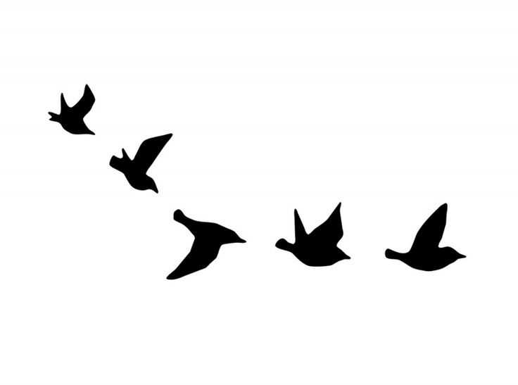 736x547 Flying Bird Silhouette Tattoo Stencil