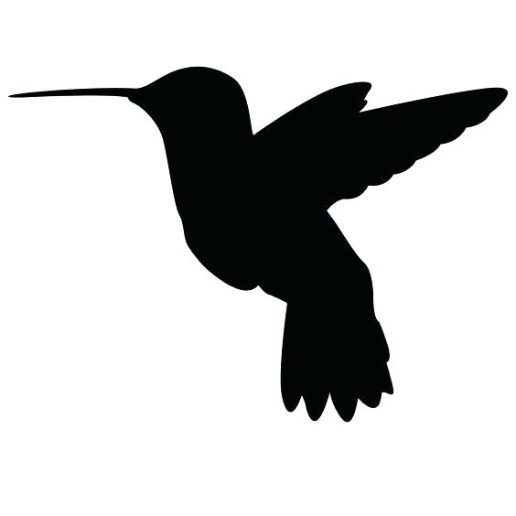 564x564 Hummingbird Outline Hummingbird Outline Hummingbird Silhouette