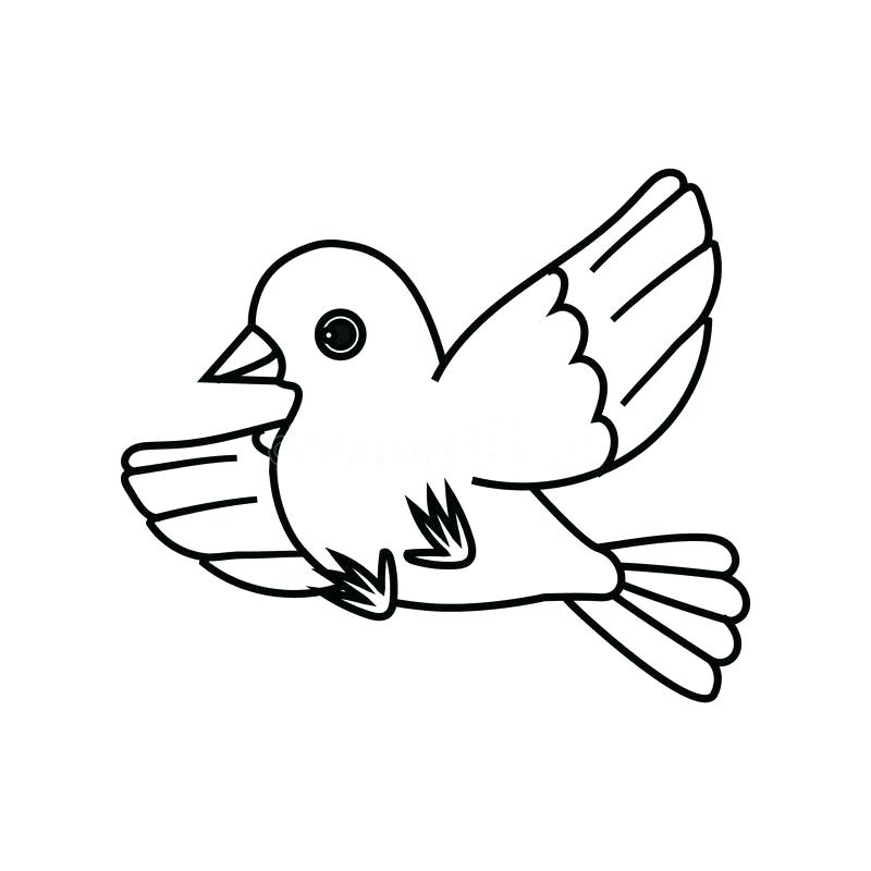 800x800 Bird Silhouette Free Vector Download Free Vector For Bird