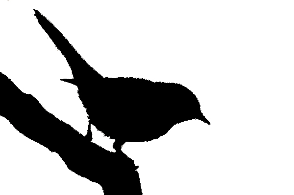 600x399 Bird Silhouette Tattoo Silhouette Tattoos