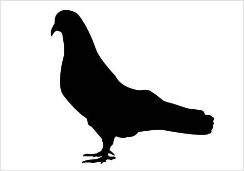 501x352 Dove Silhouette Vector Clipart Download Dove Silhouette Silhouette