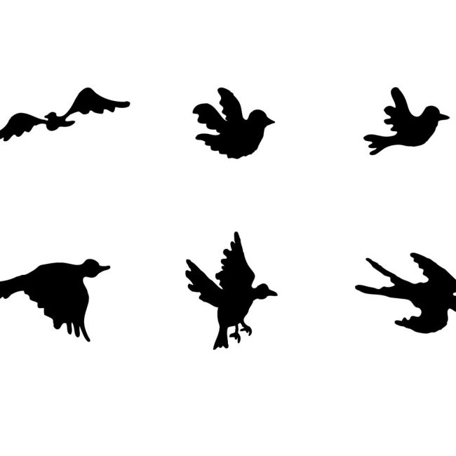 Bird Silhouette Vector at GetDrawings | Free download