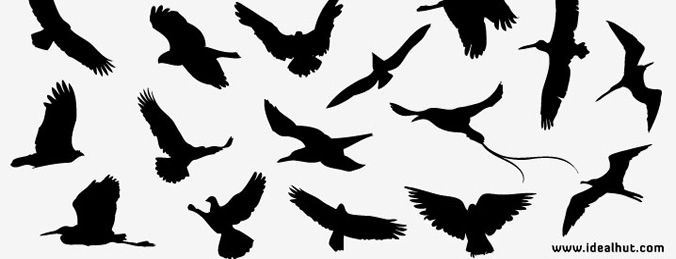 676x259 Free Vector Bird Silhouettes
