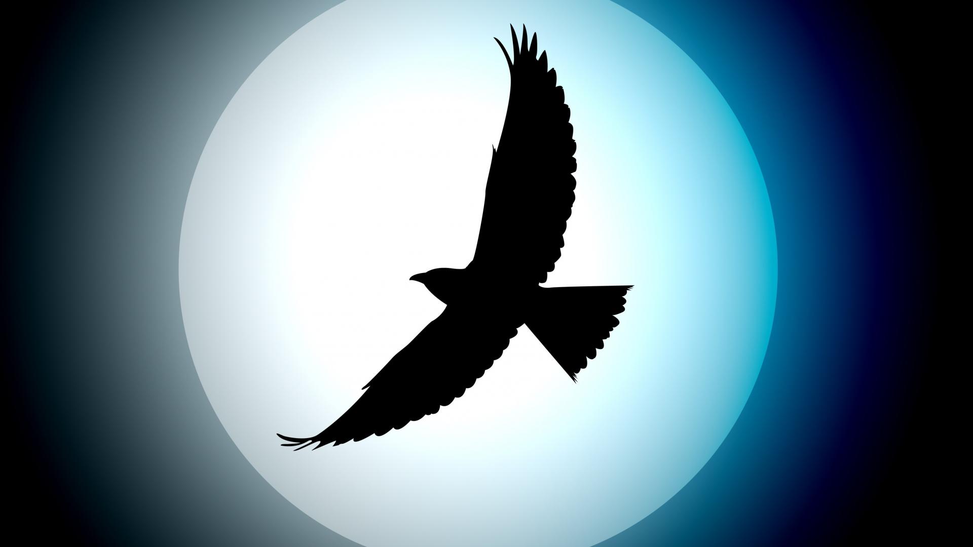 1920x1080 Birds Silhouette Artwork Wallpaper (2967)