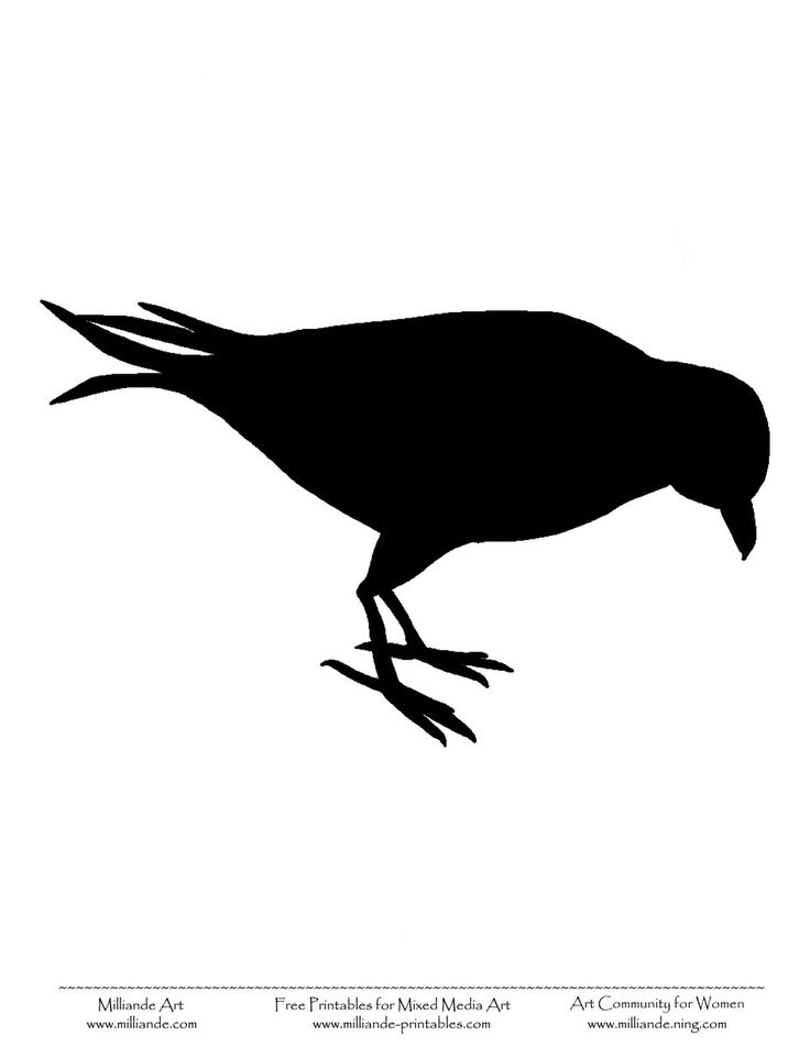 736x952 Crow Silhouette Template Bird Silhouette Stencil Stencils