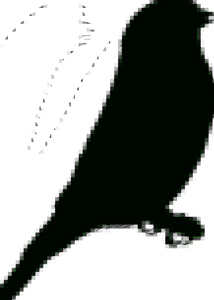 435x609 Silhouette, Outline, Fowl, Black, Dark, Bird, Sitting, Sedentary
