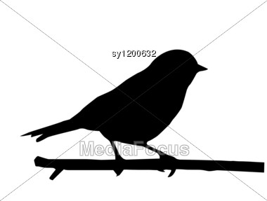 380x287 Silhouette Of The Small Bird On Branch