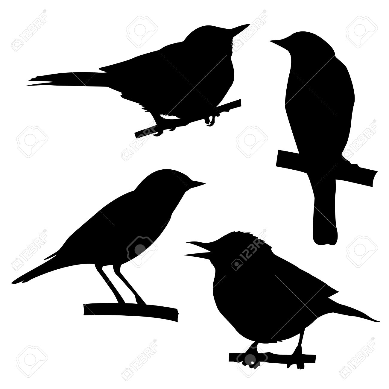 1300x1300 Silhouettes Of The Birds Sitting On Branch Tree Stock Photo