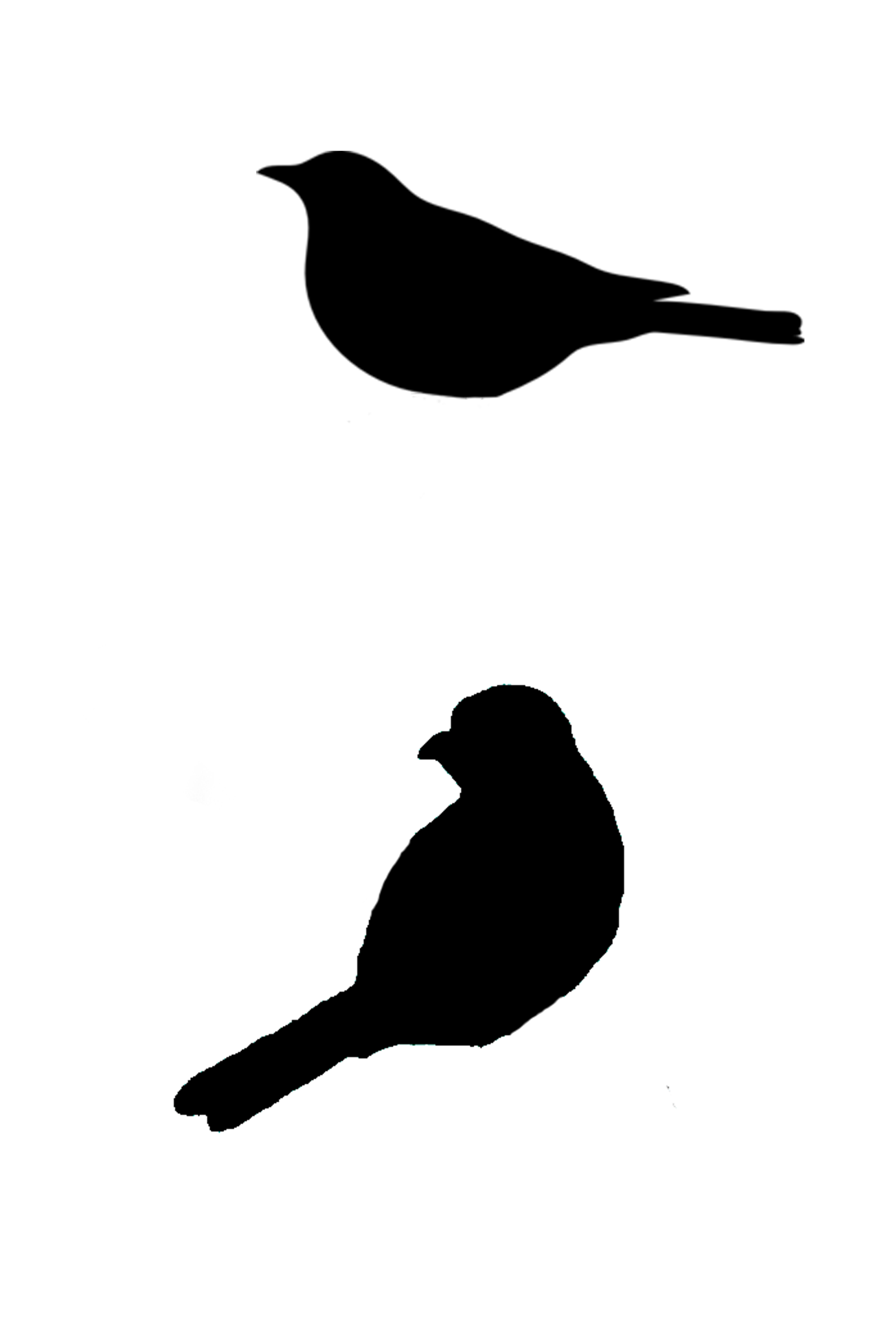 6096x9144 Sitting Bird Silhouette, Cut Out For Canvas Art ) Stencils
