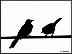 236x177 Bird on a wire silhouette Silhouette Of Birds On A Telephone