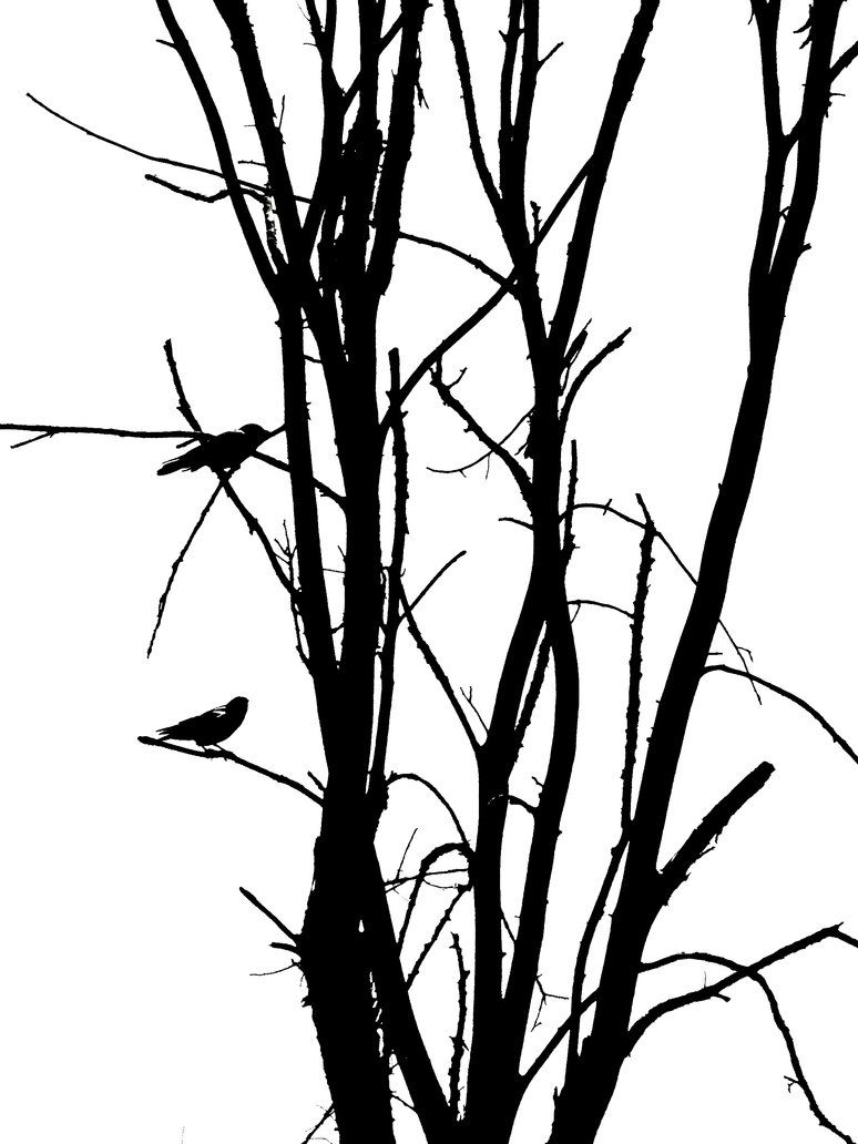 774x1032 Tree Birds Silhouette By Snapwolf On Printables
